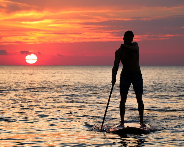 What to know about stand up paddleboards for dogs?